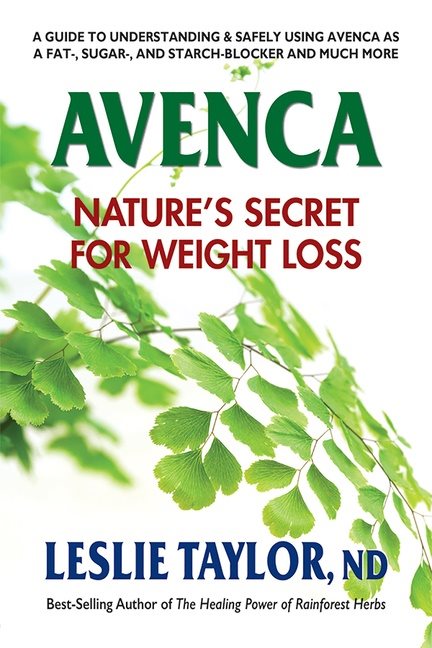Avenca : Nature