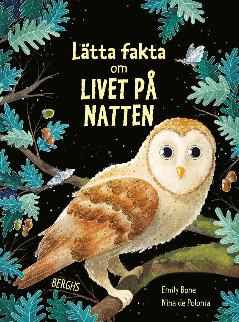 Lätta fakta om livet på natten