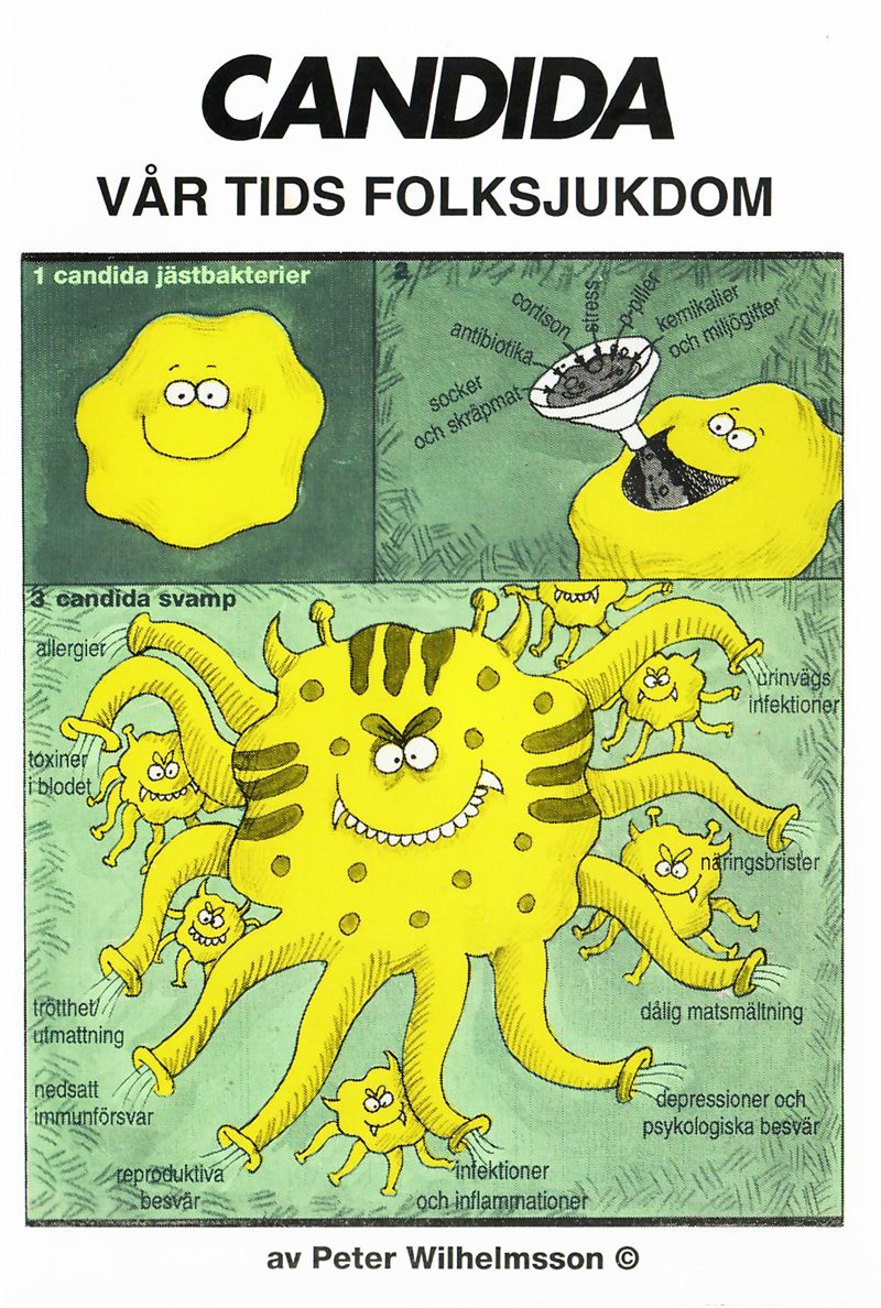 9789163029776_1