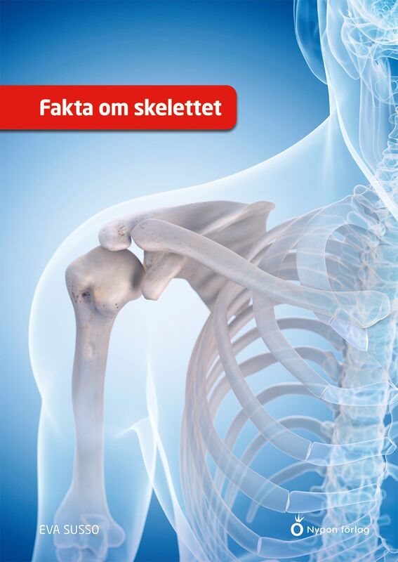 Fakta om skelettet