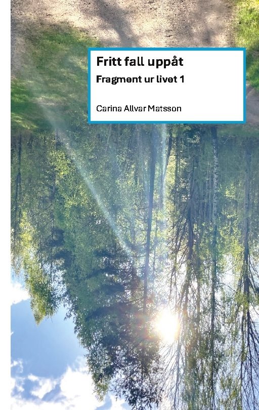 Fritt fall uppåt : fragment ur livet 1