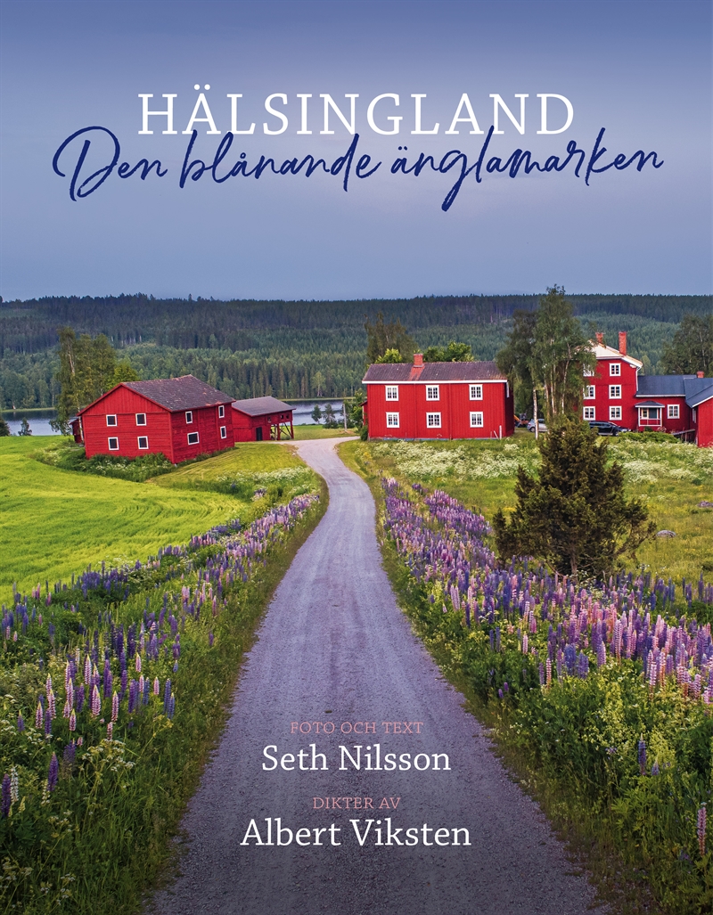 Hälsingland - Den blånande änglamarken