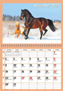 Kalender 2024 Hästar FSC