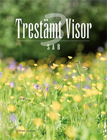 Trestämt Visor SAB
